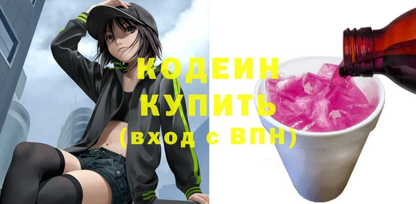 ГАЛЛЮЦИНОГЕННЫЕ ГРИБЫ Инсар