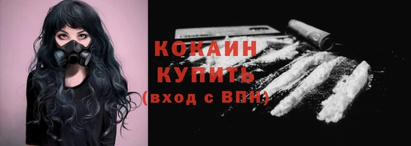 ГАЛЛЮЦИНОГЕННЫЕ ГРИБЫ Инсар