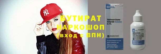 ГАЛЛЮЦИНОГЕННЫЕ ГРИБЫ Инсар