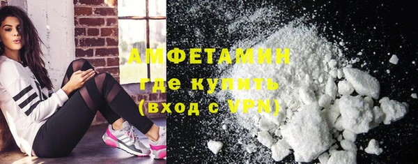 ГАЛЛЮЦИНОГЕННЫЕ ГРИБЫ Инсар