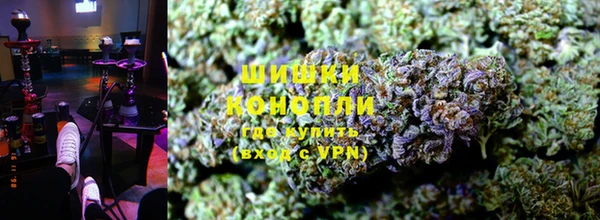 ГАЛЛЮЦИНОГЕННЫЕ ГРИБЫ Инсар