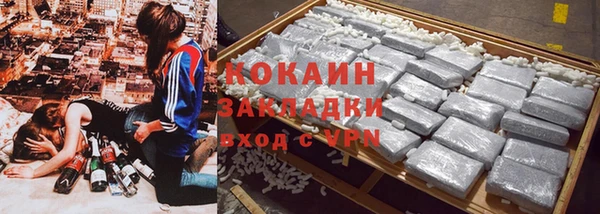 ГАЛЛЮЦИНОГЕННЫЕ ГРИБЫ Инсар