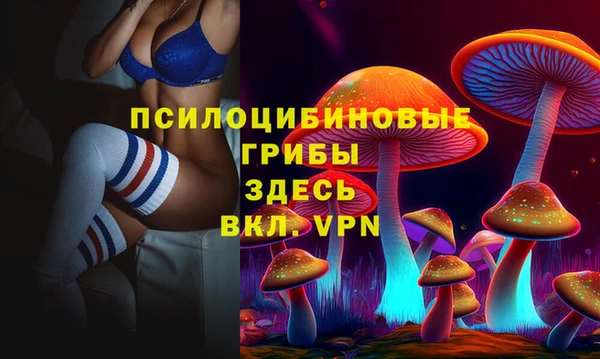 эйфоретик Иннополис