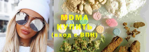 ГАЛЛЮЦИНОГЕННЫЕ ГРИБЫ Инсар