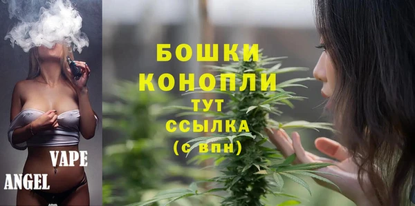 ГАЛЛЮЦИНОГЕННЫЕ ГРИБЫ Инсар