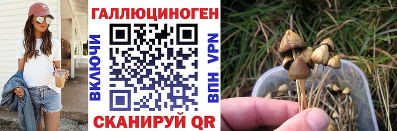 Галлюциногенные грибы GOLDEN TEACHER  Купить закладки  Переславль-Залесский 